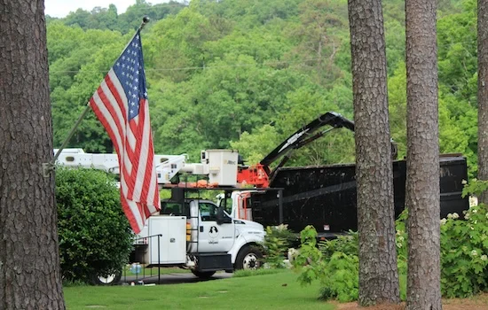 Stump Grinding Birmingham AL
