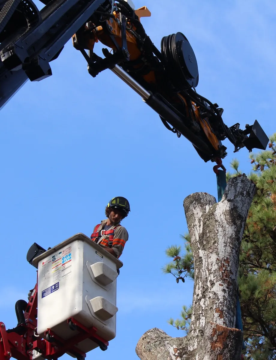 Evans Tree Service Birmingham AL