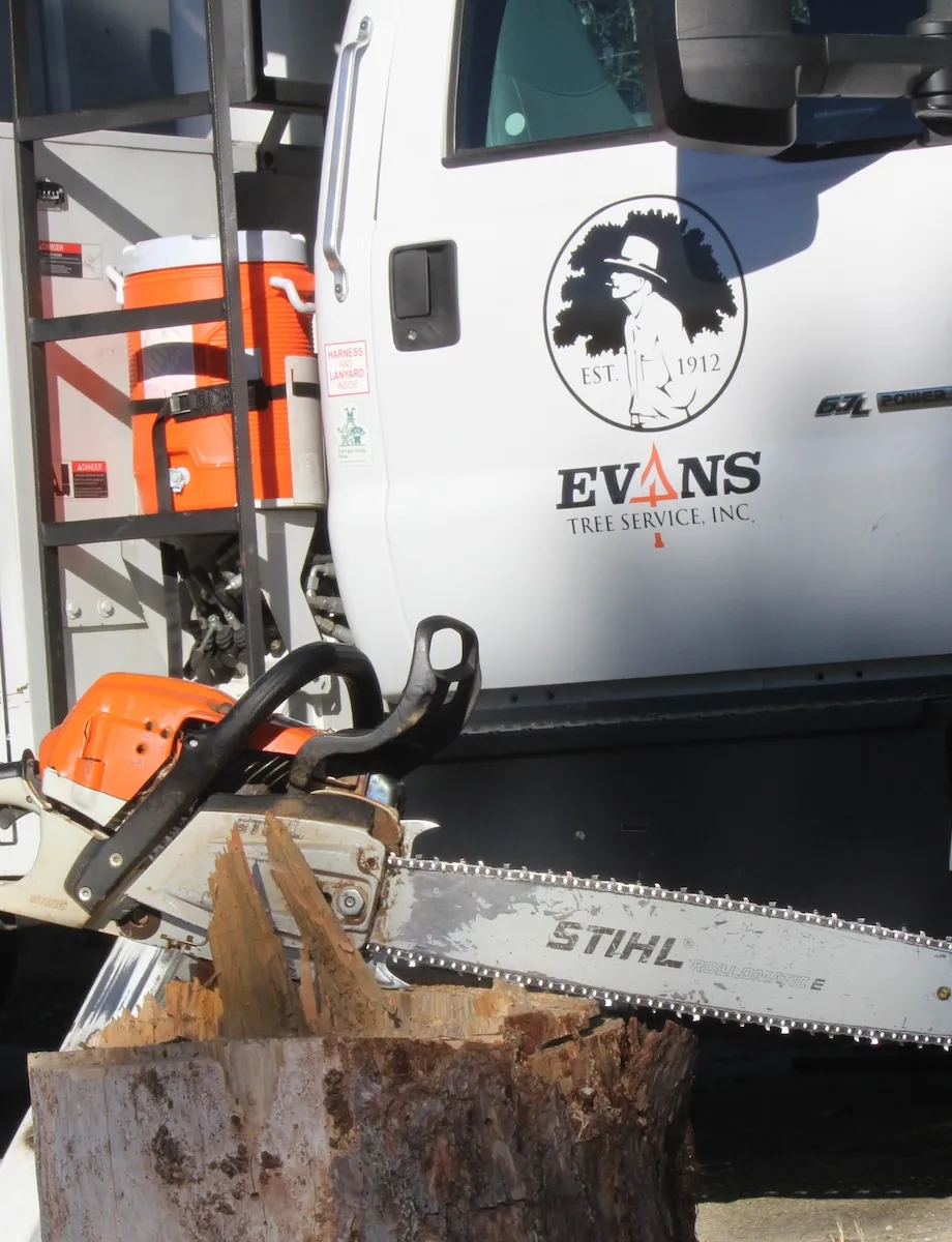 Stump Grinding Birmingham, AL