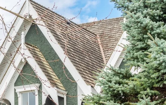 Birmingham AL Arborist
